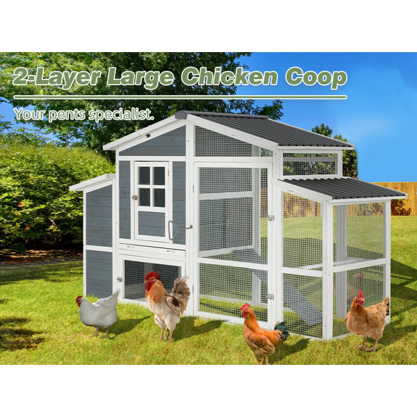 Archie & Oscar™ Flitwick Chicken Coop with Chicken Run For Up To 4